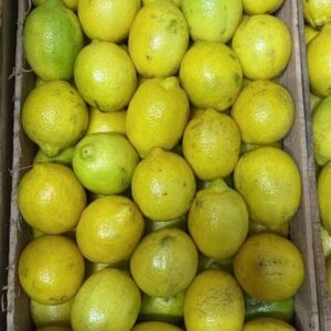 Limones Agroeco X Kg *Luis y Sofía Olea* "-"