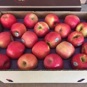 Manzana Pink Lady Org x 19kg "-" Bettina Scoltz