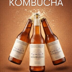 Kombucha Hierbas Agro. "Sonqo" x 500ml