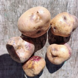 Papas Andinas "Imillita" x kg