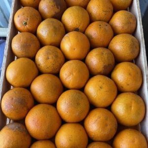 Naranjas De Jugo Agroeco X 14 Kg "-"