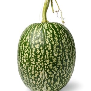 Alcayota x unidad 3 kg aprox
