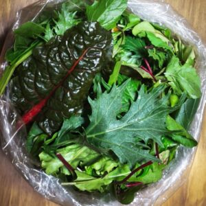 Mix de hojas verdes "Joel Moyano" x 250g