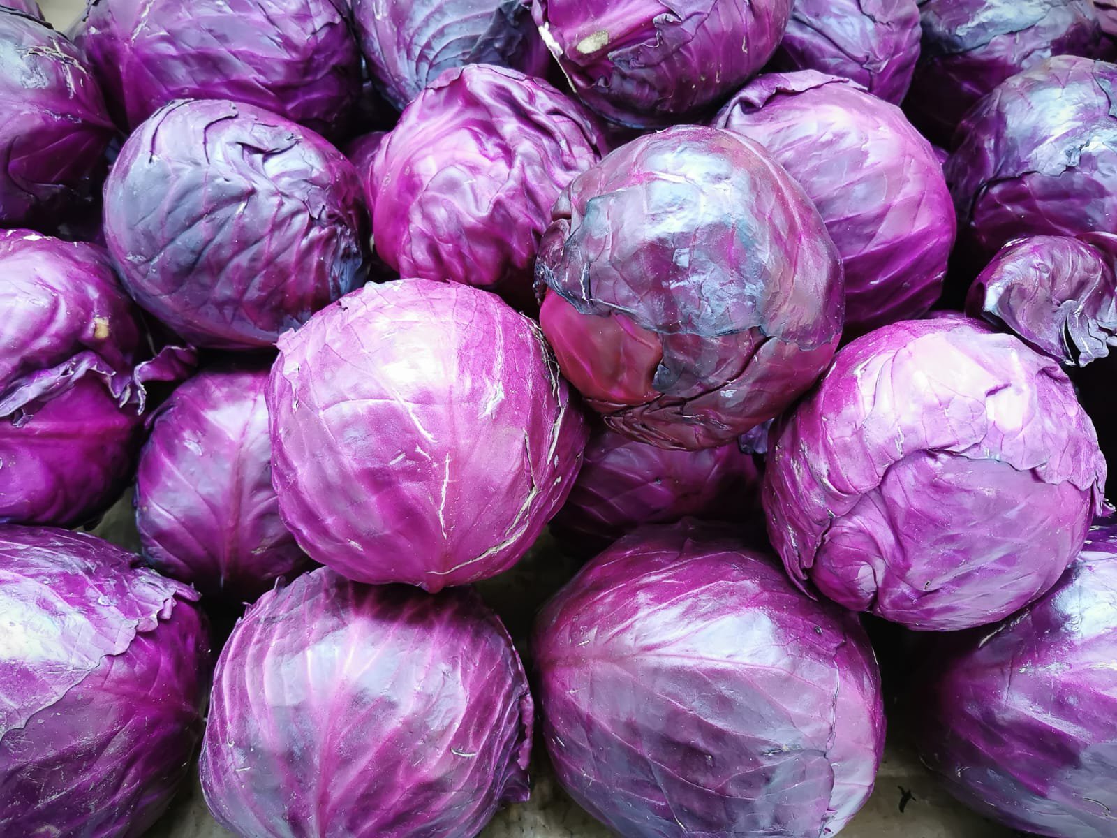 Repollo Morado "flia Solorzano" x unidad 1.2 kg aprox.