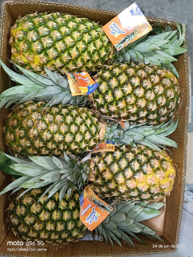Piña de Ecuador "CONVENCIONAL💀" x unidad 1.2 kg