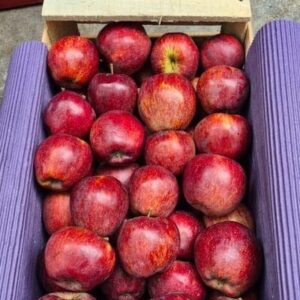 Manzanas Red AEC FLIA ROSSO x Kg "-"