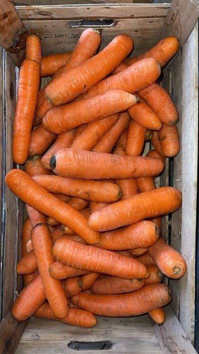 Zanahorias ORG *Finca Paru* "-" x kg