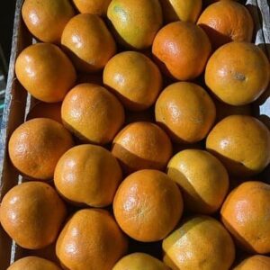 Mandarinas Agroecológicas x kg