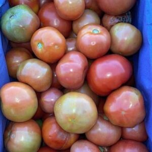 Tomate Redondo Orgánico x kg *Roberto Blanco* "-"