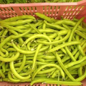 Habas Tiernas "Divina naturaleza" x 500g